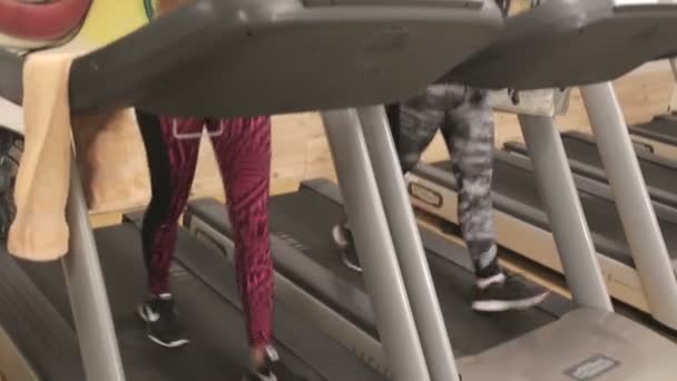 Friends at the gym workout together — Stock Video