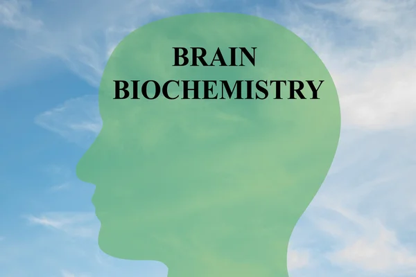 Cérebro Bioquímica conceito do cérebro — Fotografia de Stock