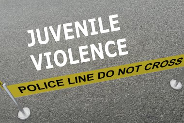Juvenil şiddet kavramı