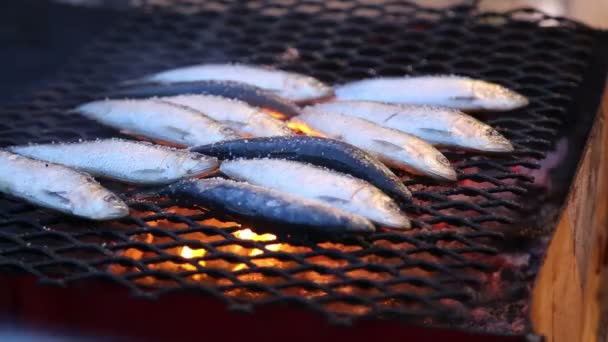 Verse sardines, gegrilde op een grill-netwerk — Stockvideo