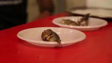 Elle balık kullanımı