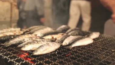 adam Flipping balık  