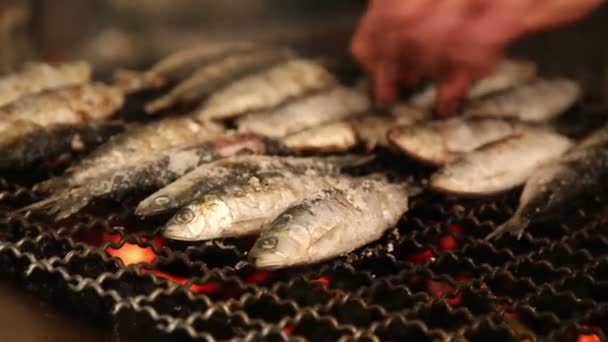 Uomo Flipping pesce — Video Stock