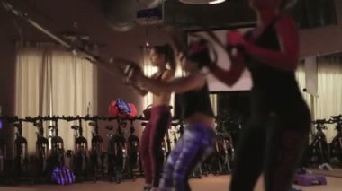 Atlar direnç çizgili