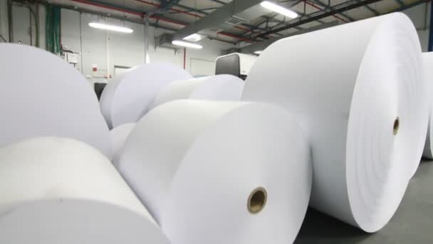 Rollos de papel a gran escala — Vídeo de stock