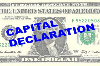 Sermaye beyan kavramı