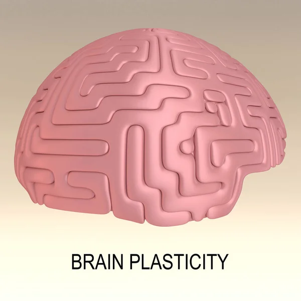 Ilustracja Scenariusza Plastyczności Mózgu Pod Ludzkim Mózgiem Odizolowana Nad Brązowym — Zdjęcie stockowe
