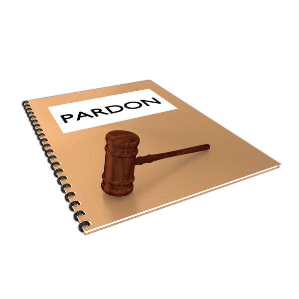 3D иллюстрация сценария PARDON на буклете вместе с судьей молотком, изолированным на белом.