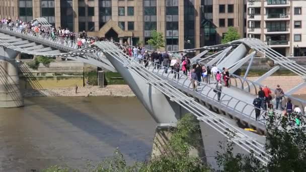 Die Jahrtausendbrücke — Stockvideo