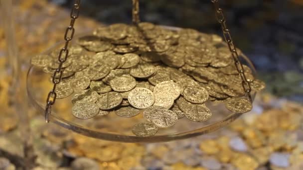 Moedas de ouro — Vídeo de Stock