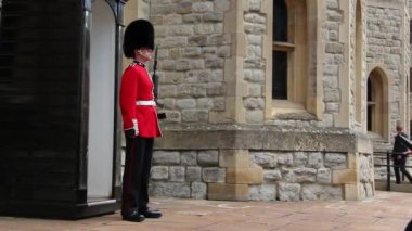 Kraliçe nin İngiliz nöbetçi