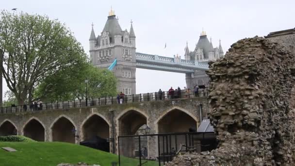 Turm von London — Stockvideo