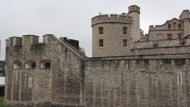 Tower of London — Stock Video