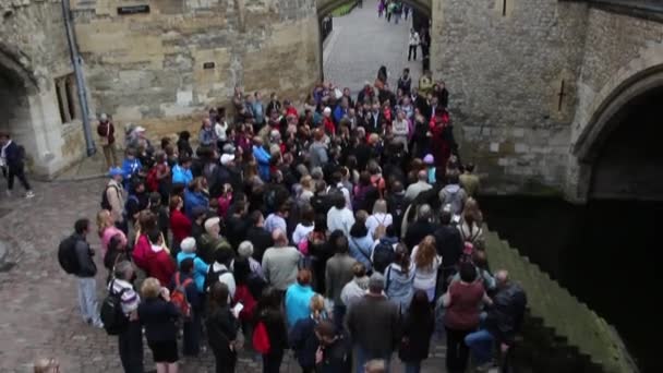 Group of tourist — Stock Video