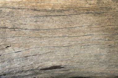 Bir kuru ile ahşap yüzey ve aşınma işaretleri