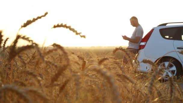 Panorama of man stuck with car in a wheat field — Stock Video