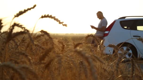 Man stuck with car in a wheat field — Stock Video