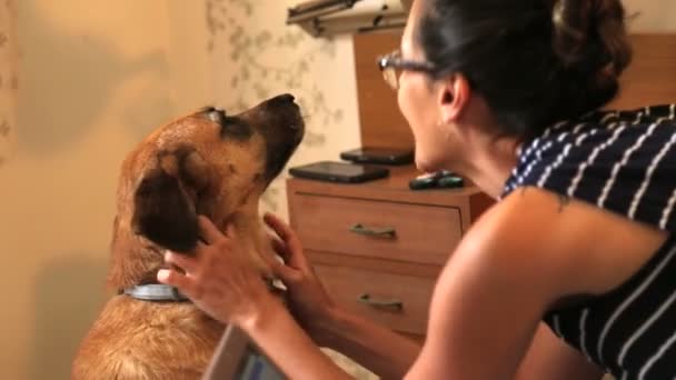 Woman petting her dog — Stock Video