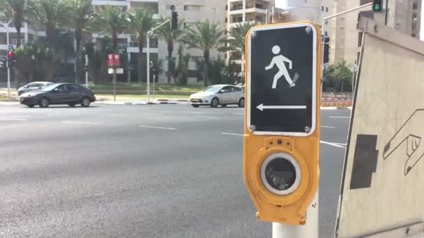 Assistência botão para atravessar uma estrada movimentada com segurança — Vídeo de Stock