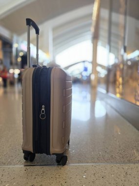 Havaalanı Terminalinde Duran Bavulu Taşı