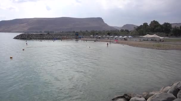 Riva al Mare di Galilea — Video Stock