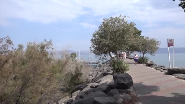 Touristen in Ginosar Israel — Stockvideo