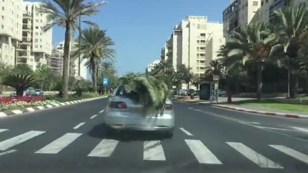 Auto met takken van bomen voor Soekot — Stockvideo