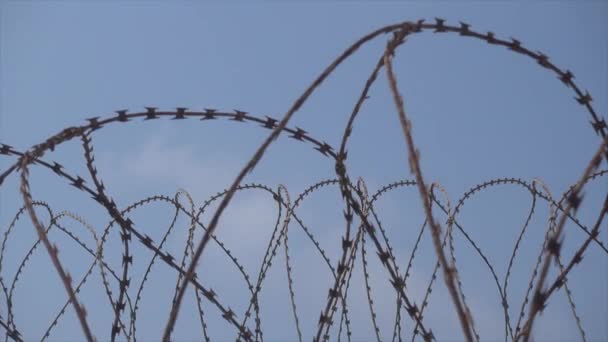 Barb wire fence — Stock Video