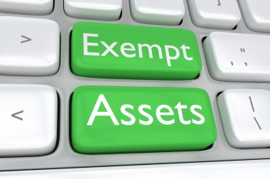 Exempt Assets concept clipart