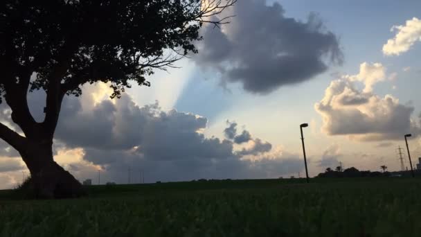 Gone with the wind timelapse — Stock Video