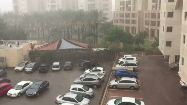 Regen in Ramat Aviv — Stockvideo