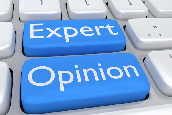 Expert Opinion concept