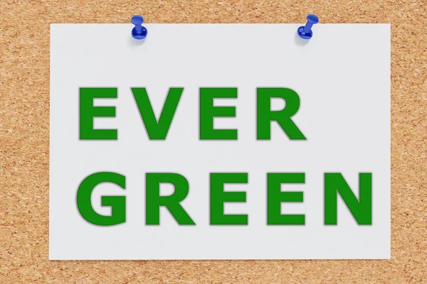 Ever Green — стоковое фото