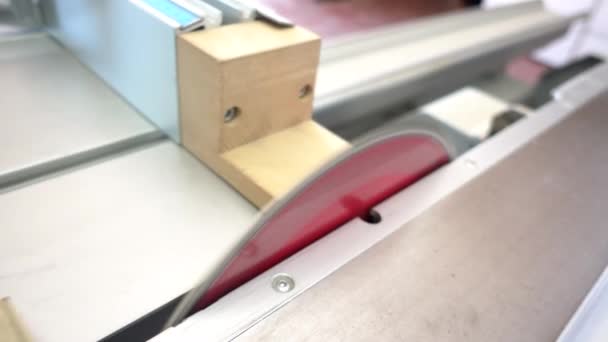 Taglio di legno con suono di sega — Video Stock
