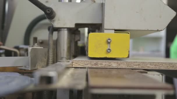 Production line In a Carpentry — Stock Video