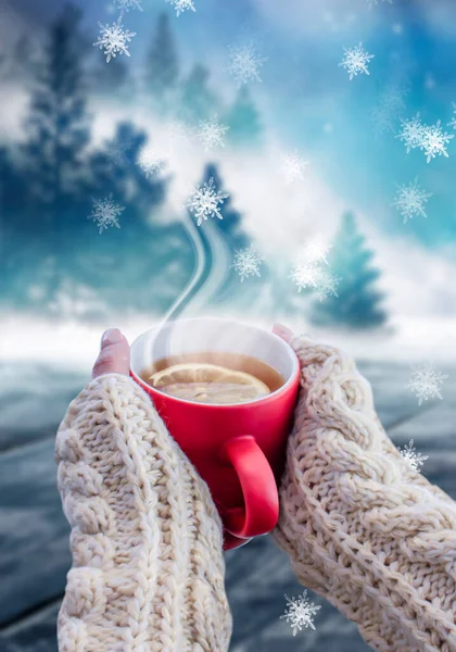 Red Cup Coffee Tea Female Hands Snowy Background Winter Forest — Stock Photo, Image