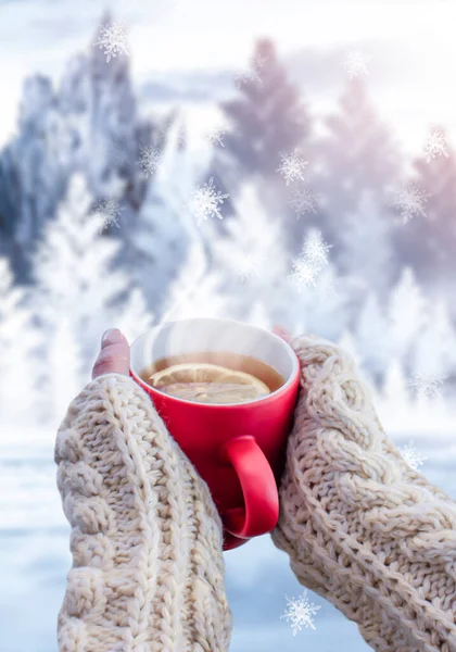 Red cup with coffee, tea in female hands on a snowy background, winter forest. A red cup in hands against the background of a winter forest landscape on soft, knitted sleeves. Coffee, tea on a wooden table.