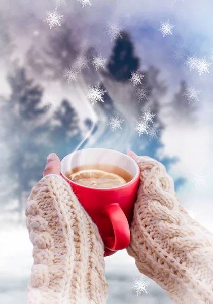 Rote Tasse Mit Kaffee Tee Weiblichen Händen Vor Verschneitem Hintergrund — Stockfoto