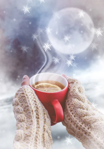 Rote Tasse Mit Kaffee Tee Weiblichen Händen Vor Verschneitem Hintergrund — Stockfoto