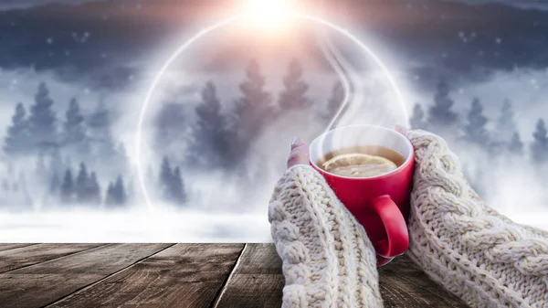 Red cup with coffee, tea in female hands on a snowy background, winter forest. A red cup in hands against the background of a winter forest landscape on soft, knitted sleeves. Coffee, tea on a wooden