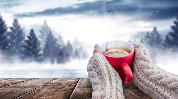 Rote Tasse Mit Kaffee Tee Weiblichen Händen Vor Verschneitem Hintergrund — Stockfoto