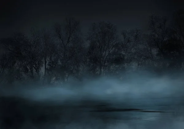 Тёмный Мрачный Лес Ночь Лесу Сцена Природы Лесом Лунным Светом — стоковое фото