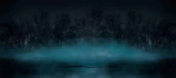 Karanlık, kasvetli orman. Ormanda bir gece. Orman ve ay ışığı olan doğa sahnesi. Ormanın gece manzarası, doğa, sis, sis, duman.