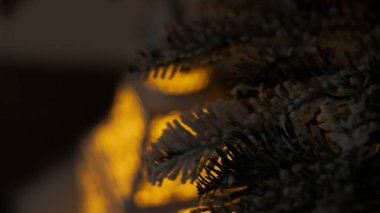 Ağacın altında gece feneri. Gece ışıkları, karanlık şenlik arka planı. Büyülü yeni yıl atmosferi. Gece görüşü, neon ışığı.