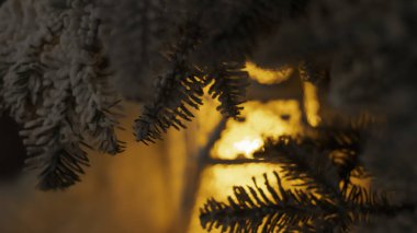 Ağacın altında gece feneri. Gece ışıkları, karanlık şenlik arka planı. Büyülü yeni yıl atmosferi. Gece görüşü, neon ışığı.