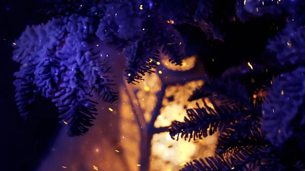 ツリーの下の夜のお祝いランタン 夜のライト 暗いお祝いの背景 魔法の新年の雰囲気 夜景ネオンライト — ストック写真