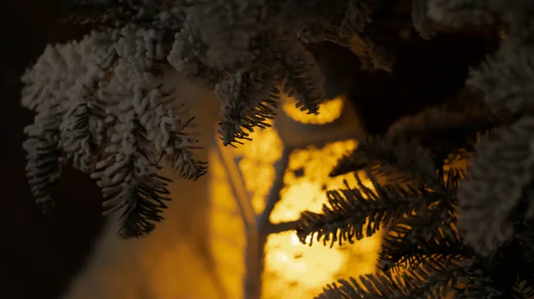 Nattlig Festlig Lykta Trädet Nattljus Mörk Festlig Bakgrund Magisk Nyårskänsla — Stockfoto