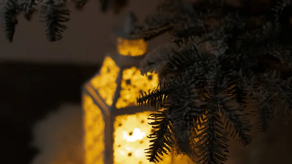 Βραδινό Εορταστικό Φανάρι Κάτω Από Δέντρο Νυχτερινά Φώτα Σκούρο Εορταστικό — Φωτογραφία Αρχείου