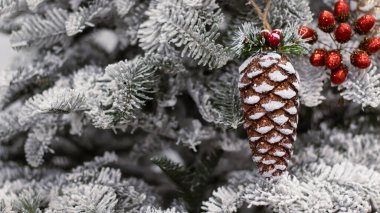 Noel topu karla kaplı köknar ağacı, yakın plan, bulanık bokeh arkaplan. Bir kartpostal için Noel arkaplanı. Noel ağacı süslemeleri, ladin dalları, yeni yıl oyuncakları..