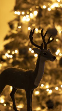 Noel şenliği arka planı, bokeh ışıkları olan köknar ağacı. Bokeh üzerinde muhteşem bir geyik, bir kartpostal için arka plan..